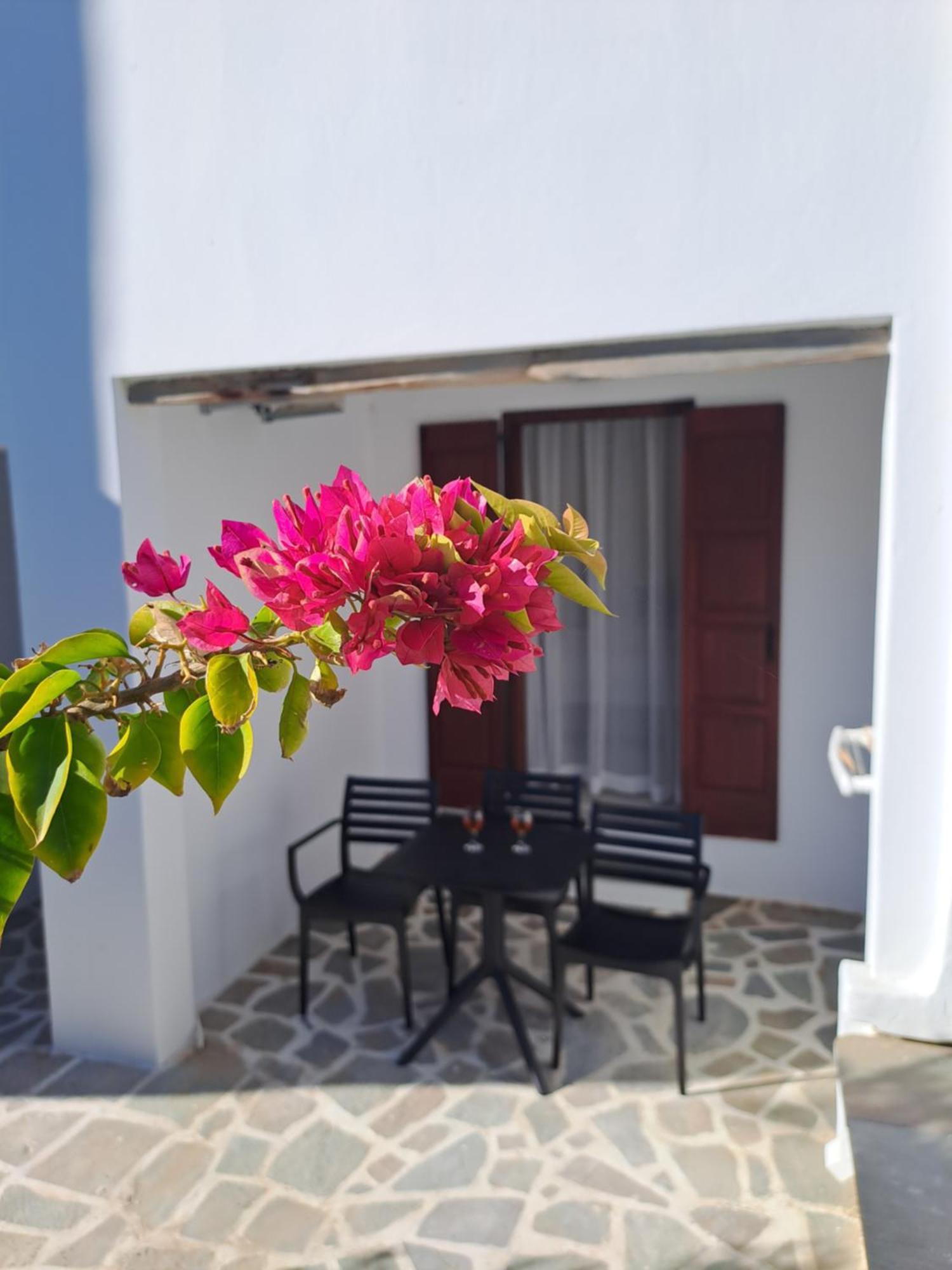 Anemomilos Beach Hotel Agia Anna  ภายนอก รูปภาพ